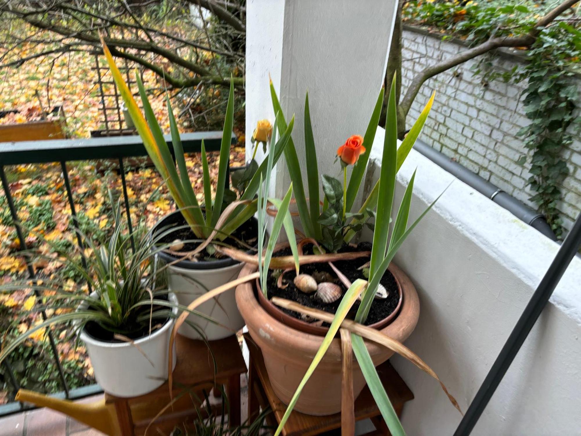 Koeln Wohnung 4 Min Naehe Von Hbf Und Dom Mit Garten ,Balkon & Office Exterior foto